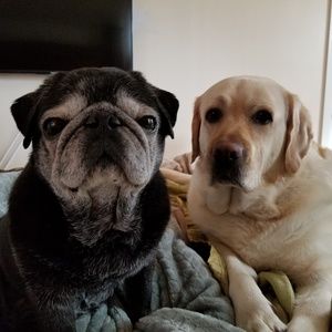 Meet your Posher, Deborah